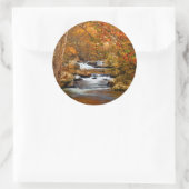 米国、テネシー州。ラーシングマウンテンクリーク ラウンドシール (バッグ)