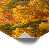 米国、テネシー州。秋の葉2 ポスター (角)