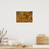 米国、テネシー州。秋の葉2 ポスター (キッチン)