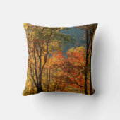 米国、テネシー州。秋葉 クッション (裏面)