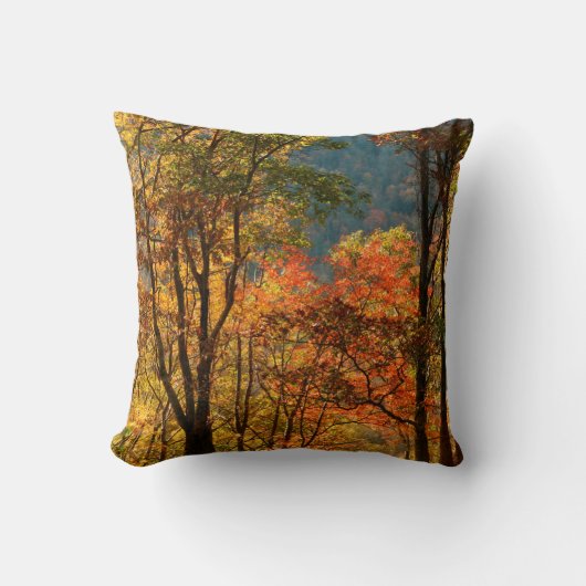 米国、テネシー州。秋葉 クッション (正面)