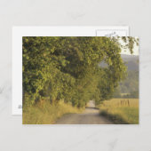 米国，テネシー素晴らし州，スモークマウンテンズNational 2 ポストカード (正面/裏面)