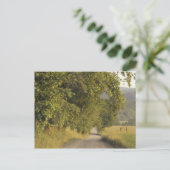 米国，テネシー素晴らし州，スモークマウンテンズNational 2 ポストカード (スタンド正面)