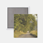 米国，テネシー素晴らし州，スモークマウンテンズNational 2 マグネット (正面/裏面)