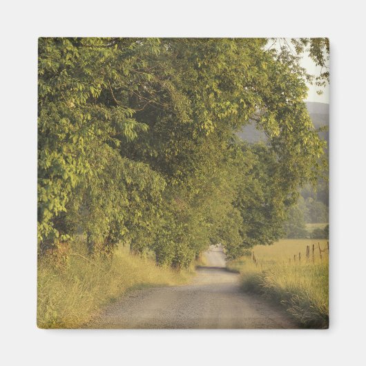 米国，テネシー素晴らし州，スモークマウンテンズNational 2 マグネット (正面)