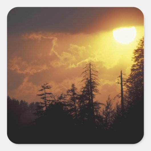 米国,テネシー素晴らし州,スモークマウンテンNP. 2 スクエアシール (正面)