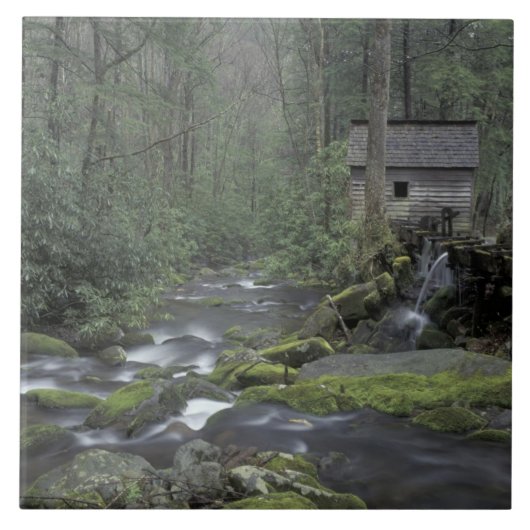 米国，テネシー素晴らし州，スモーク山脈National 3 タイル (正面)