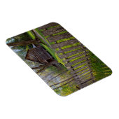 米国、テネシー、キャビン・イン・カデス・コーブ マグネット (右側)