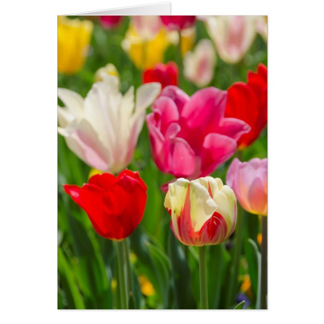 米国、テネシー、ナッシュビル (正面)