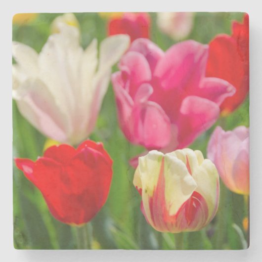 米国、テネシー、ナッシュビル ストーンコースター (正面)