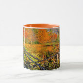 米国、ニューイングランド、ニューハンプシャー、チョコルア マグカップ (中央)