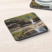 米国、ニューイングランド、ニューハンプシャー、ホワイトマウンテン コースター (左側)