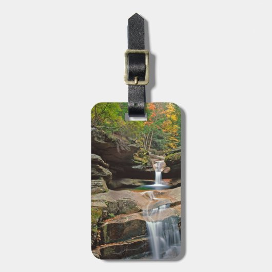 米国、ニューイングランド、ニューハンプシャー、ホワイトマウンテン ラゲッジタグ (正面縦)