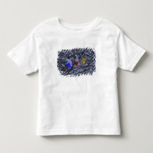 米国、ニューイングランド、マサチューセッツの読書、2 トドラーTシャツ