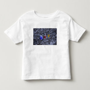 米国、ニューイングランド、マサチューセッツの読書、2 トドラーTシャツ
