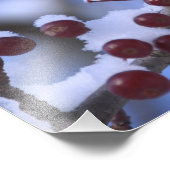 米国、ニューイングランド、マサチューセッツ読州、米国、マサチューセッツ州、3 フォトプリント            (角)