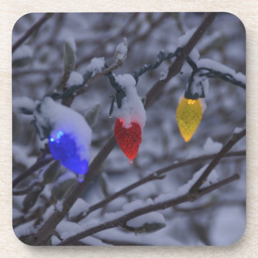 米国、ニューイングランド、マサチューセッツ読州、2 コースター (正面)