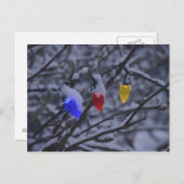 米国、ニューイングランド、マサチューセッツ読州、2 ポストカード (正面/裏面)