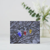 米国、ニューイングランド、マサチューセッツ読州、2 ポストカード (スタンド正面)