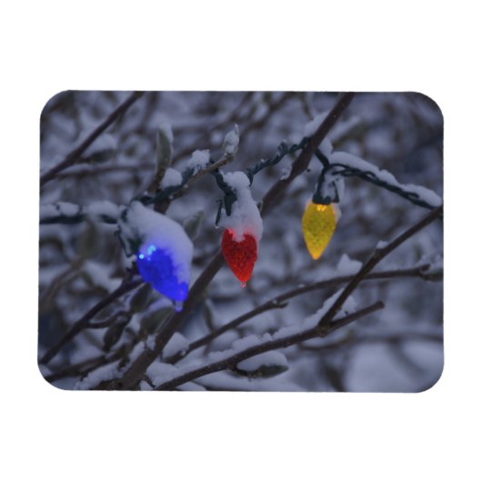 米国、ニューイングランド、マサチューセッツ読州、2 マグネット (横)