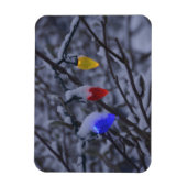 米国、ニューイングランド、マサチューセッツ読州、2 マグネット (縦)