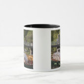 米国、ニューイングランド、マサチューセッツ、ボストン、 マグカップ (中央)