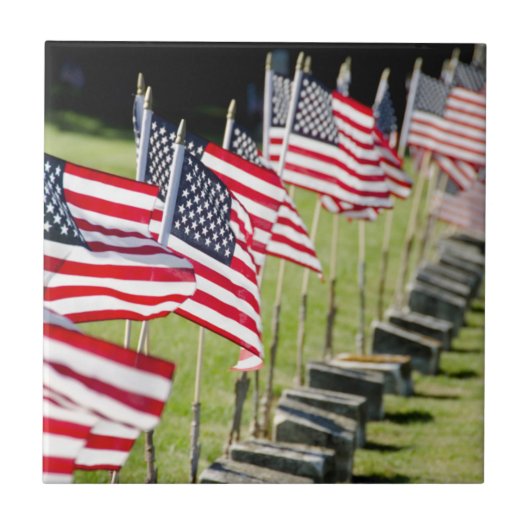 米国、ニューイングランド、ロードアイランド、ブリストル タイル (正面)