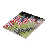 米国、ニューイングランド、ロードアイランド、ブリストル タイル (側面)