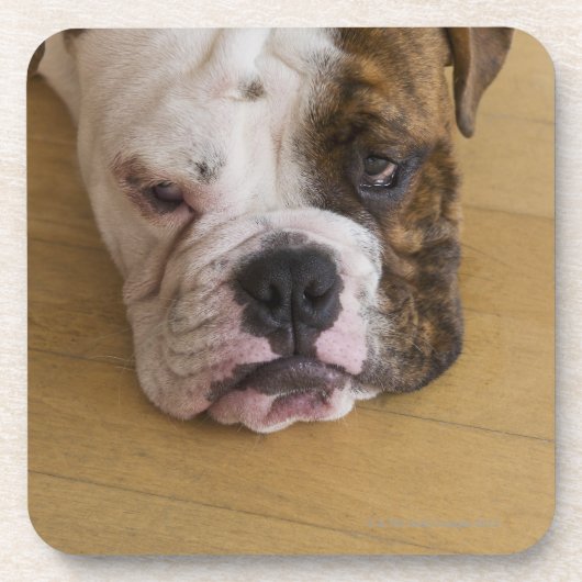 米国、ニュージャージー、ジャージーシティーの退屈させるのポートレート コースター (正面)