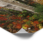 米国、ニューハンプシャー州、ホワイトマウンテン ポスター (角)