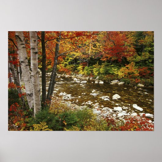 米国、ニューハンプシャー州、ホワイトマウンテン ポスター (正面)