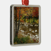 米国、ニューハンプシャー州、ホワイトマウンテン メタルオーナメント (右)