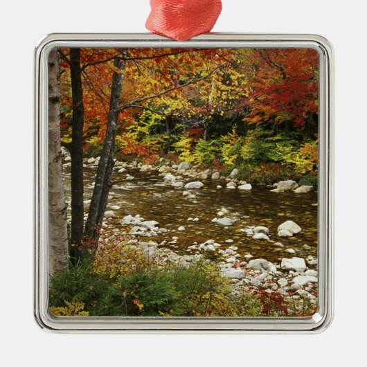 米国、ニューハンプシャー州、ホワイトマウンテン メタルオーナメント (正面)