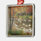 米国、ニューハンプシャー州、ホワイトマウンテン メタルオーナメント (左)