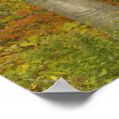 米国、ニューハンプシャー、リバモア、ホワイトマウンテン ポスター (角)