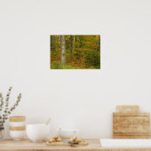 米国、ニューハンプシャー、リバモア、ホワイトマウンテン ポスター (キッチン)