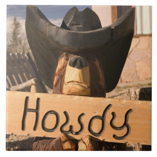 米国、ニューメキシコ、イーグルスは入り込みます: 魅了される タイル (正面)