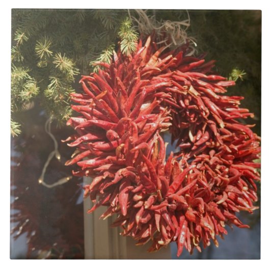 米国、ニューメキシコ、サンタフェ：ダウンタウンサンタフェ， 2 タイル (正面)