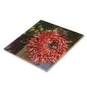 米国、ニューメキシコ、サンタフェ：ダウンタウンサンタフェ， 2 タイル (側面)