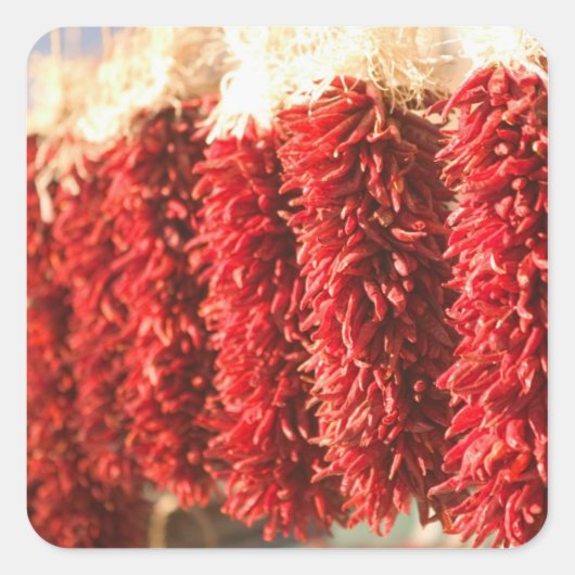 米国,ニューメキシコ,サンタフェ:ダウンタウンSanta Fe, 3 スクエアシール (正面)