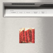 米国,ニューメキシコ,サンタフェ:ダウンタウンSanta Fe, 3 マグネット (インサイチュ (食洗機))