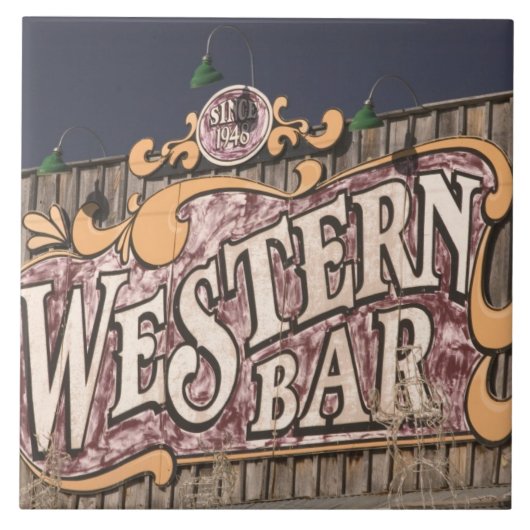 米国、ニューメキシコ、Cloudcroft: 山の町(電気 タイル (正面)