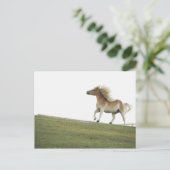 米国、ニューヨーク州、ハドソン、ウマランニングー・ズin 2 ポストカード (スタンド正面)