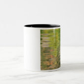 米国、ニューヨーク、アディロンダックス、水中での反射 ツートーンマグカップ (中央)