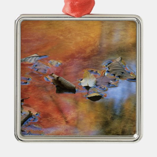 米国、ニューヨーク、アディロンダックス、落ちた メタルオーナメント (正面)