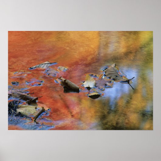 米国、ニューヨーク、アディロンドク落ちたス、葉の ポスター (正面)