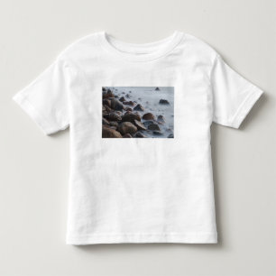 米国、ニューヨーク、イーストハンプトン。 トドラーTシャツ