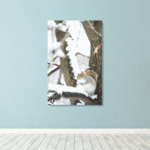 米国、ニューヨーク、ニューヨーク、リス座る キャンバスプリント (インサイチュ (ウッドフロア))