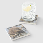 米国、ネブラスカ。ビーバー ストーンコースター (横)