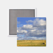 米国、ネブラスカ、モリル郡。黄金の干草 マグネット (正面/裏面)